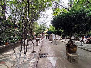 Kunming - En Ville - 11